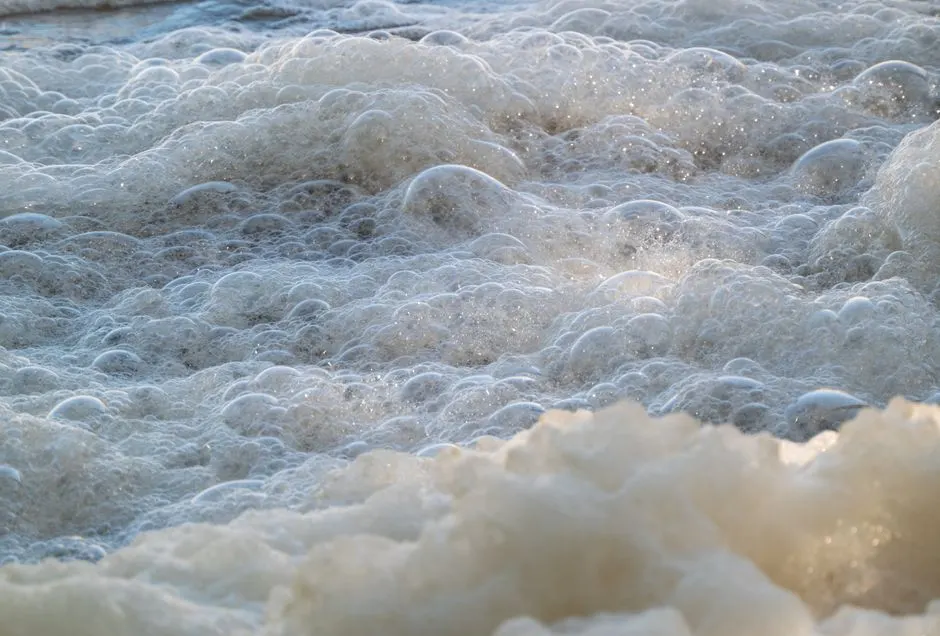 Trueform Spray Foam Service — Spray Foam Removal you can rely on